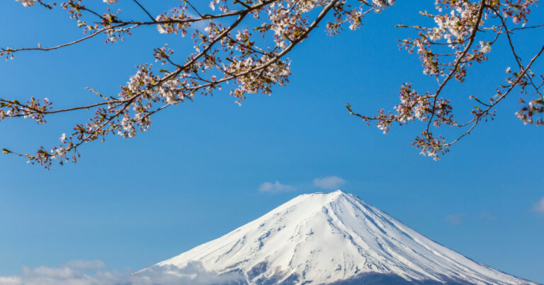 Mountain Fuji and Cherry Blossom, for Spectrum of the Seas Sakura Season Sailing Tokyo Kobe Overnight